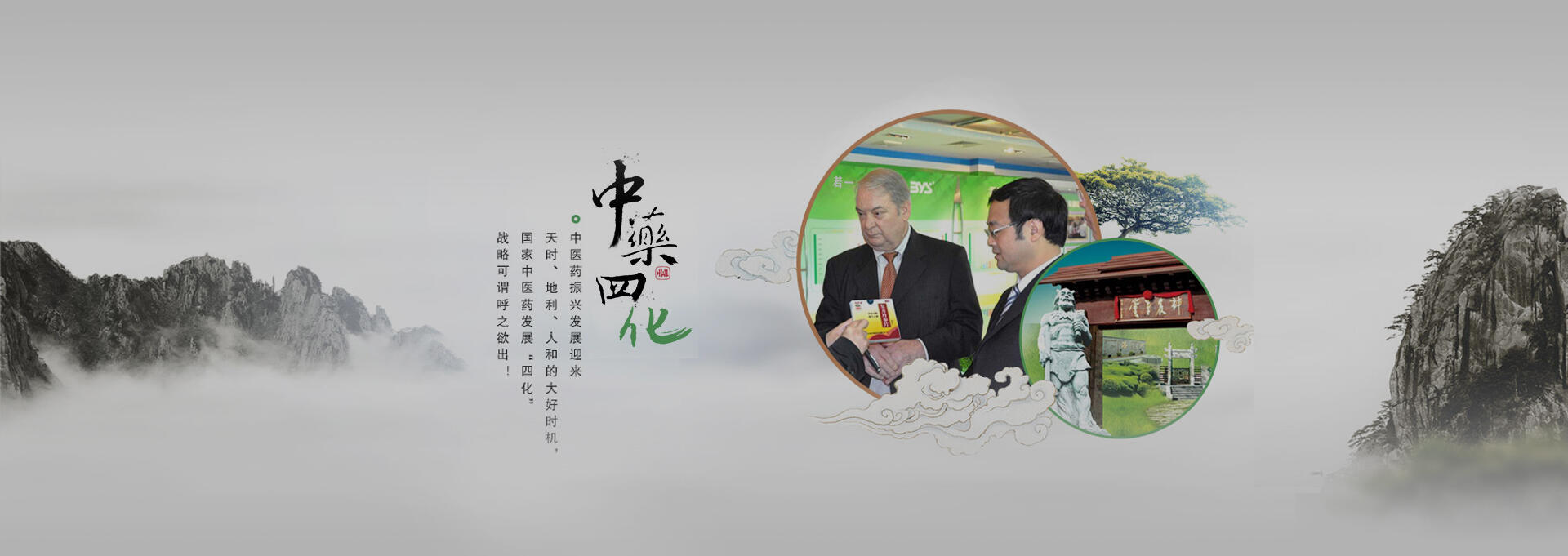 信宜建站-若一医药科技